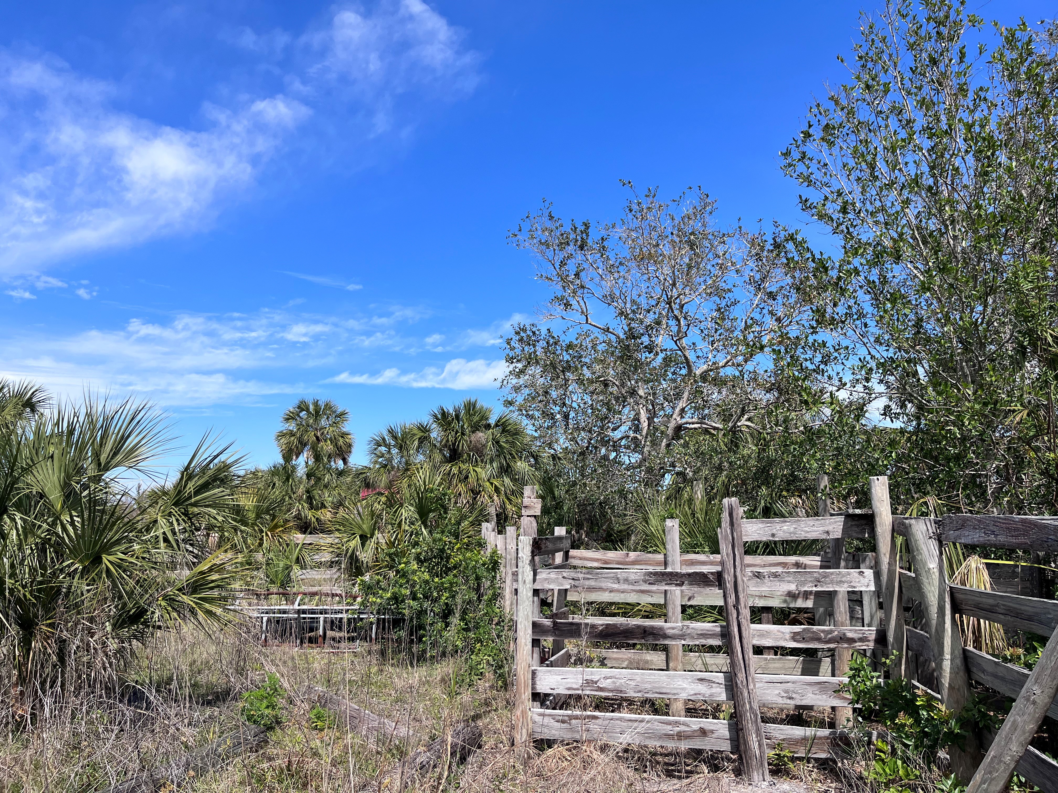 cattle fences Emerson Point Expansion