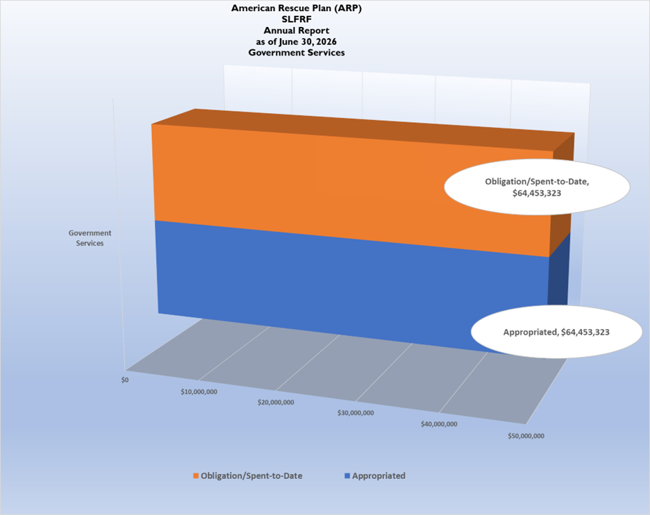 ARP Annual Report Gov Services