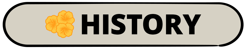 Mixon History Menu tab