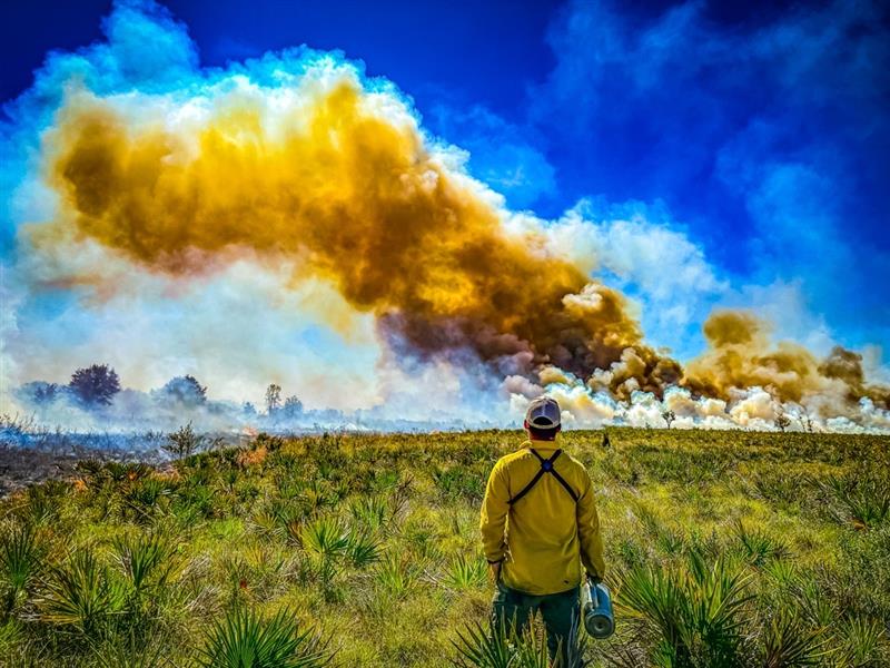 Prescribed Fire at Duette Preserve