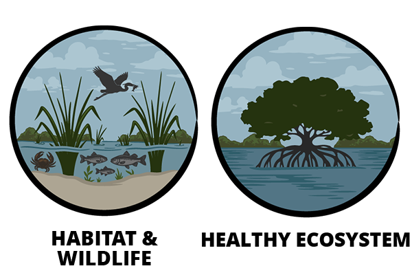 Habitat & Wildlife and Healthy Ecosystem