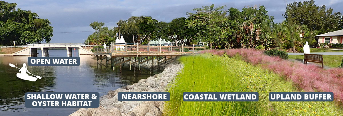 Living Shoreline Diagram Living Shoreline Diagram