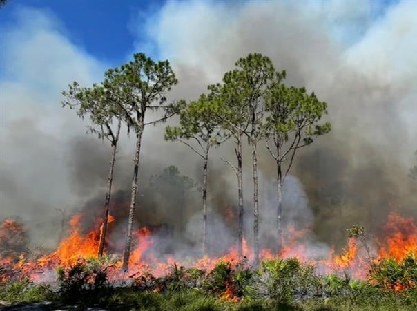 Every prescribed burn has a purpose