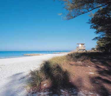 CVB-Coquina