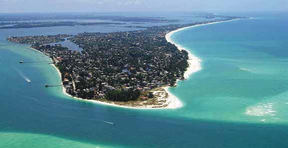 Manatee Co- AMI