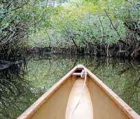 Pete Blews-Frog Creek