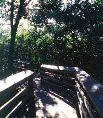 Reed Photography - Desoto boardwalk