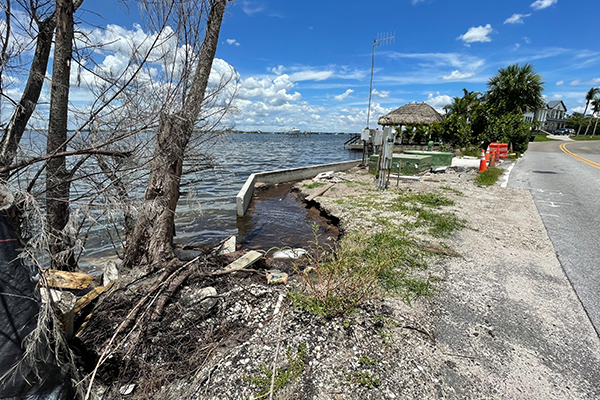 Warner's Bayou Pre Condition
