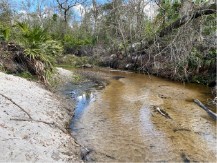 Rye Preserve Cemetary Stream